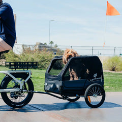 Large Pet Trailer