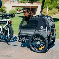 Medium Pet Trailer