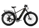 XPeak2 High-Step eBike