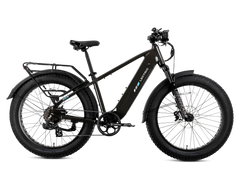XPeak2 High-Step Long-Range eBike